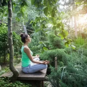 Guided Meditations